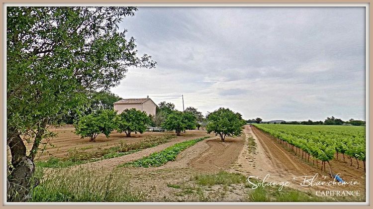 Ma-Cabane - Vente Maison CAZOULS LES BEZIERS, 240 m²