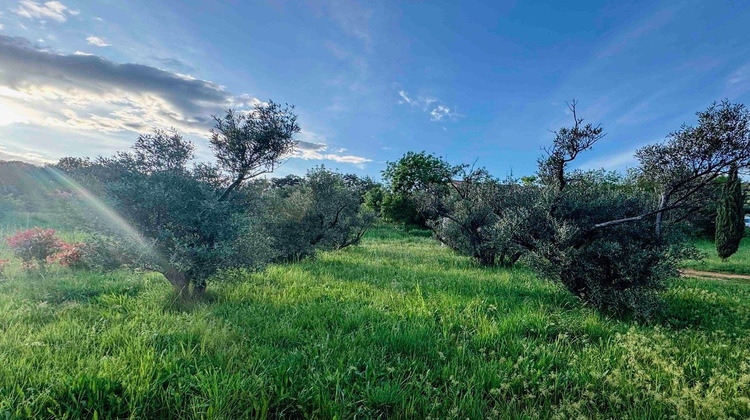 Ma-Cabane - Vente Maison Cébazan, 410 m²