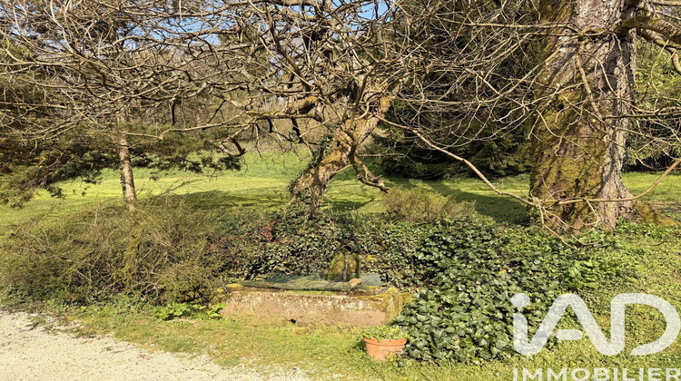 Ma-Cabane - Vente Maison Celles en Bassigny, 189 m²