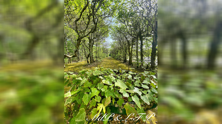 Ma-Cabane - Vente Maison CERCOUX, 485 m²