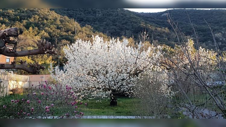 Ma-Cabane - Vente Maison Céret, 124 m²