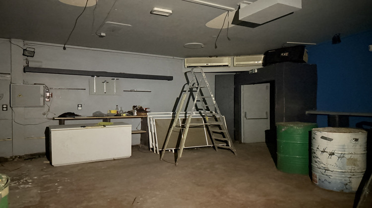 Ma-Cabane - Vente Maison Céret, 319 m²