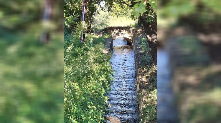 Ma-Cabane - Vente Maison Ceret, 290 m²