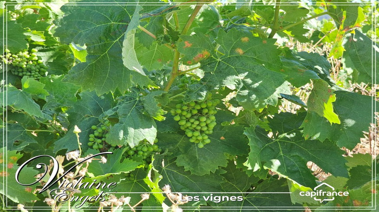 Ma-Cabane - Vente Maison CESSERAS, 500 m²