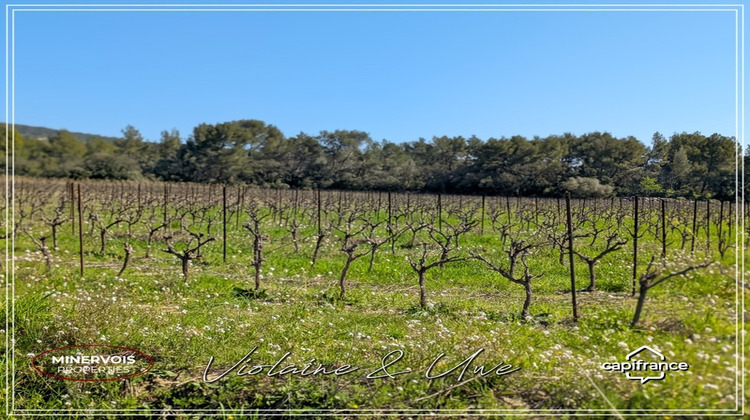 Ma-Cabane - Vente Maison CESSERAS, 446 m²