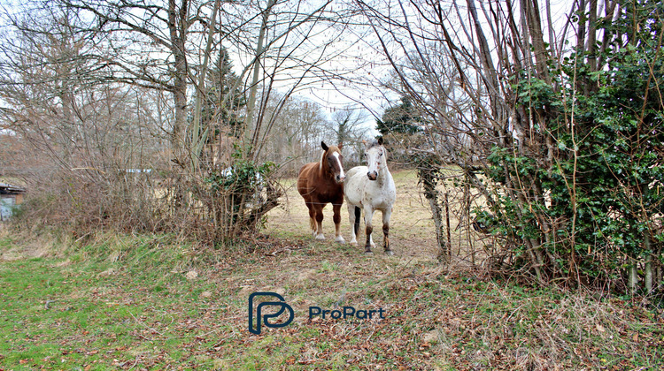 Ma-Cabane - Vente Maison Chapdes-Beaufort, 100 m²