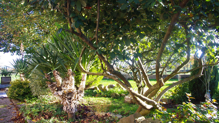 Ma-Cabane - Vente Maison Charlieu, 105 m²