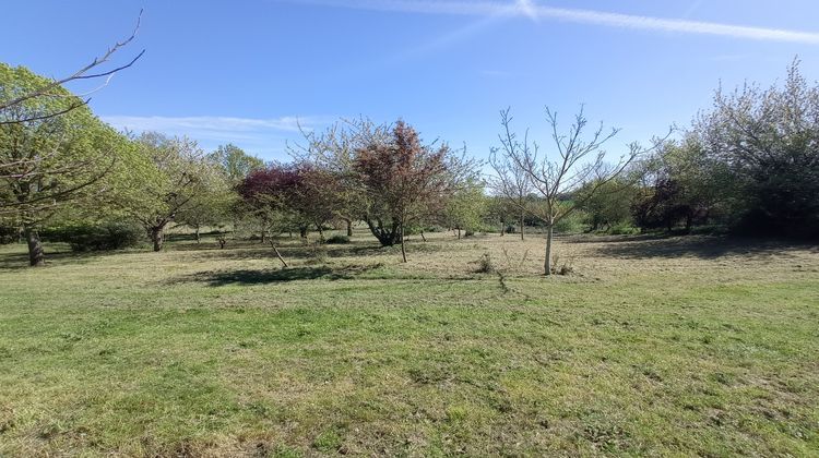 Ma-Cabane - Vente Maison Château-Gontier, 250 m²