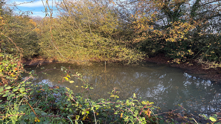 Ma-Cabane - Vente Maison CHATEAU-GONTIER, 150 m²