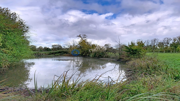 Ma-Cabane - Vente Maison Château-la-Vallière, 207 m²