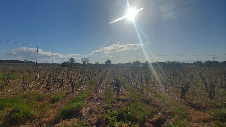 Ma-Cabane - Vente Maison CHATEAUNEUF-DU-PAPE, 110 m²