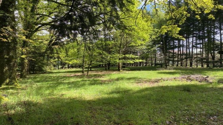 Ma-Cabane - Vente Maison Châteauneuf-la-Forêt, 142 m²