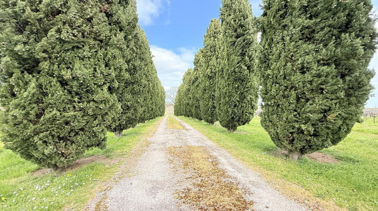 Ma-Cabane - Vente Maison CHATEAUNEUF SUR CHARENTE, 271 m²
