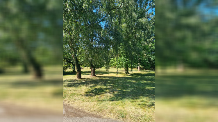 Ma-Cabane - Vente Maison CHATEAUNEUF SUR CHER, 316 m²