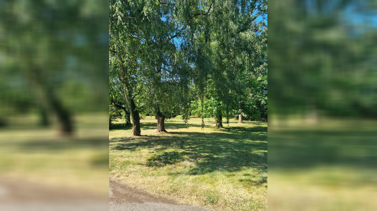 Ma-Cabane - Vente Maison CHATEAUNEUF SUR CHER, 316 m²
