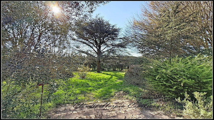 Ma-Cabane - Vente Maison CHATILLON SUR THOUET, 220 m²