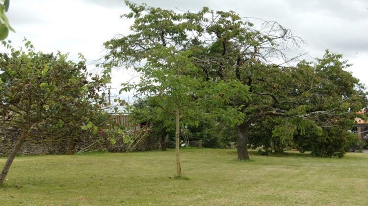 Ma-Cabane - Vente Maison Chef-Boutonne, 56 m²