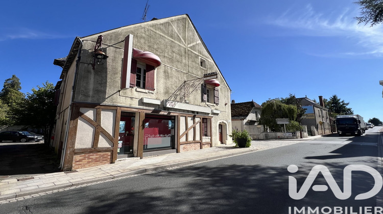 Ma-Cabane - Vente Maison Chémery, 356 m²