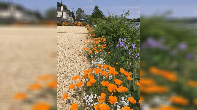 Ma-Cabane - Vente Maison Chênehutte-Trèves-Cunault, 93 m²