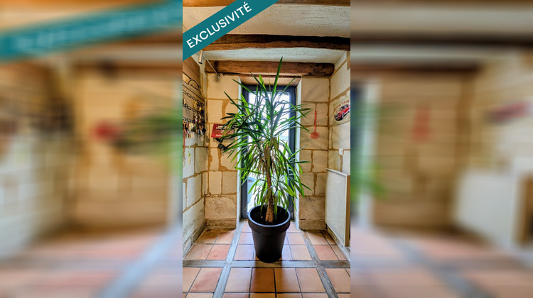 Ma-Cabane - Vente Maison Chinon, 286 m²