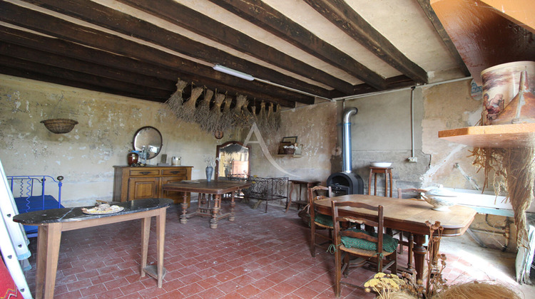 Ma-Cabane - Vente Maison CHOUZY-SUR-CISSE, 500 m²