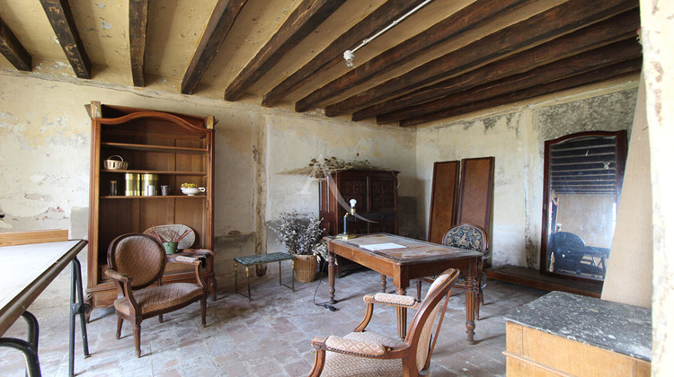 Ma-Cabane - Vente Maison CHOUZY-SUR-CISSE, 500 m²