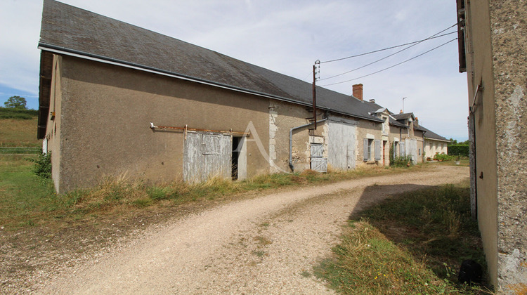 Ma-Cabane - Vente Maison CHOUZY-SUR-CISSE, 500 m²