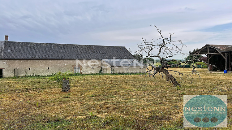 Ma-Cabane - Vente Maison CHOUZY-SUR-CISSE, 320 m²