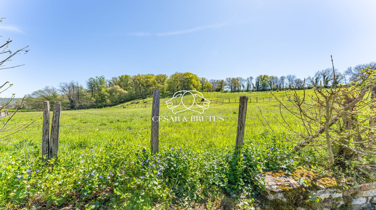 Ma-Cabane - Vente Maison Chozeau, 214 m²