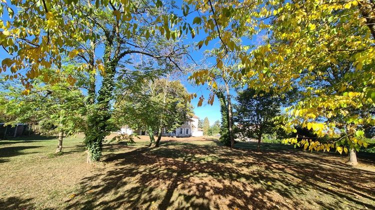 Ma-Cabane - Vente Maison CLAIRAC, 370 m²