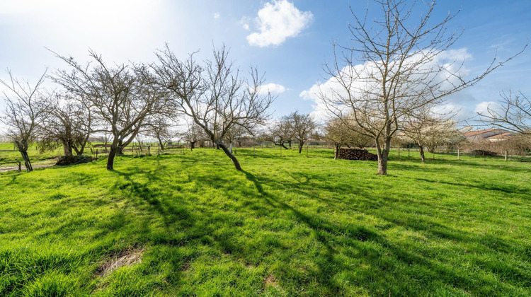 Ma-Cabane - Vente Maison Clemery, 130 m²