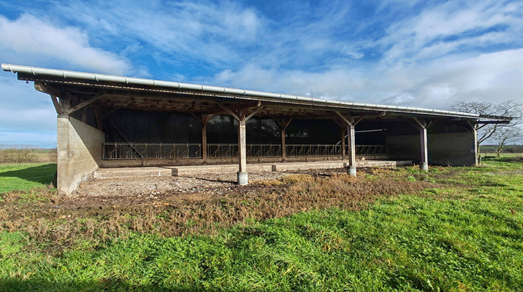 Ma-Cabane - Vente Maison CLERE-SUR-LAYON, 213 m²