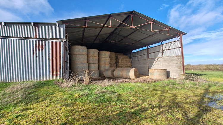 Ma-Cabane - Vente Maison CLERE-SUR-LAYON, 213 m²