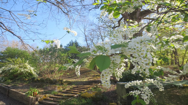 Ma-Cabane - Vente Maison CLERMONT DESSOUS, 345 m²
