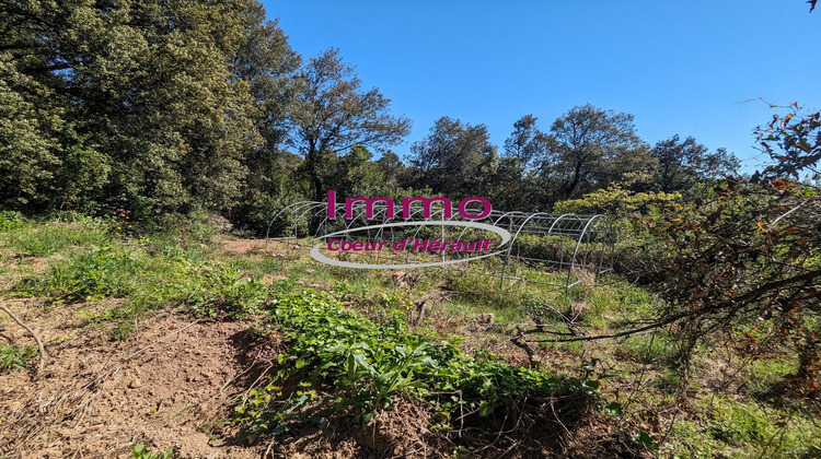 Ma-Cabane - Vente Maison CLERMONT L'HERAULT, 73 m²