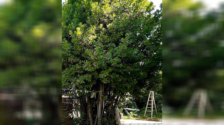 Ma-Cabane - Vente Maison Clermont-l'Hérault, 95 m²