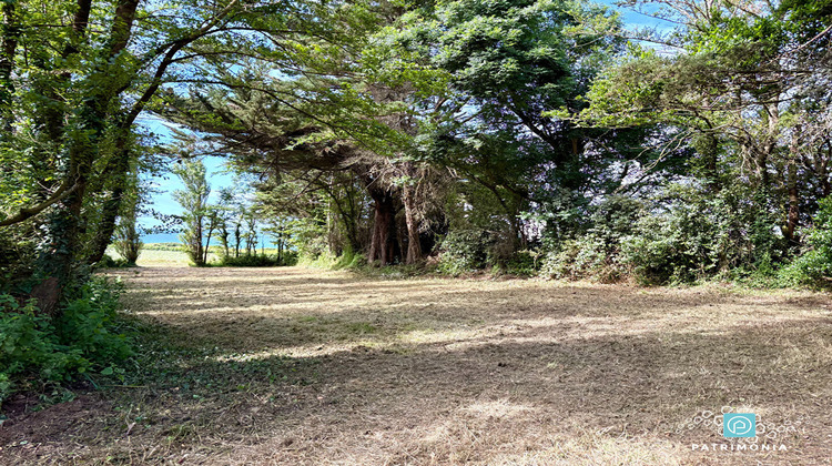 Ma-Cabane - Vente Maison CLOHARS-CARNOET, 500 m²