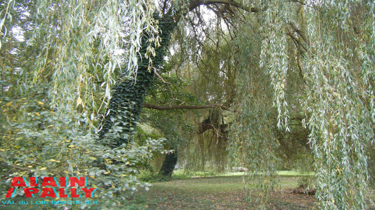 Ma-Cabane - Vente Maison Cloyes-sur-le-Loir, 22 m²