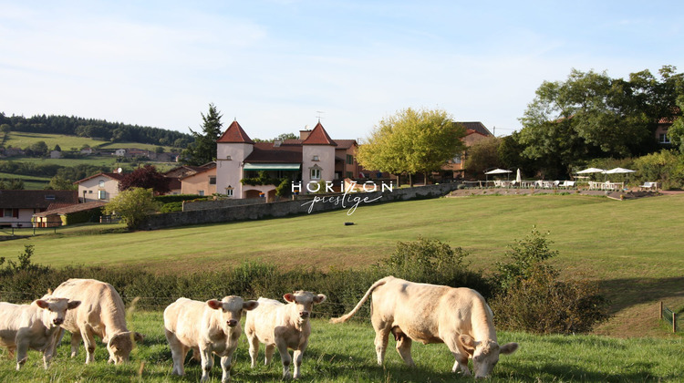 Ma-Cabane - Vente Maison Cluny, 1250 m²