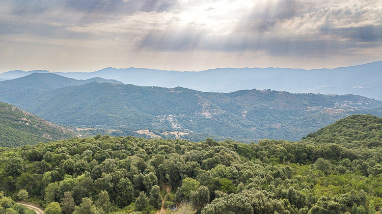 Ma-Cabane - Vente Maison Cognocoli-Monticchi, 135 m²