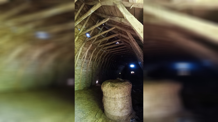 Ma-Cabane - Vente Maison COLOMBIES, 240 m²