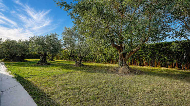 Ma-Cabane - Vente Maison COLOMIERS, 278 m²