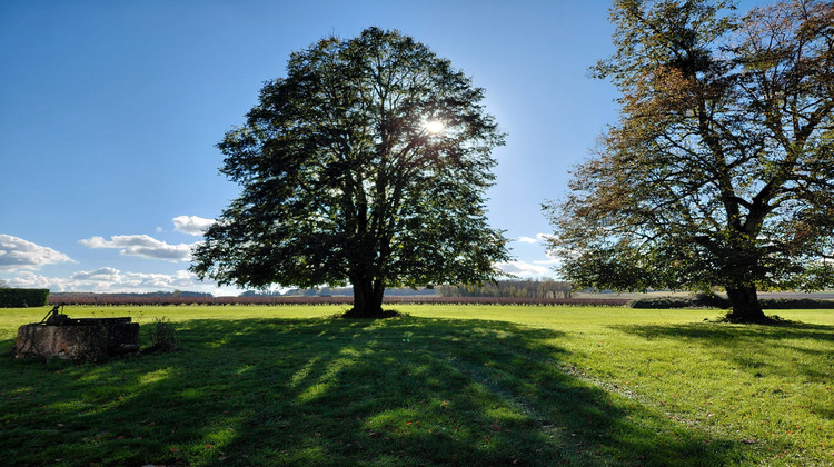 Ma-Cabane - Vente Maison Consac, 99 m²