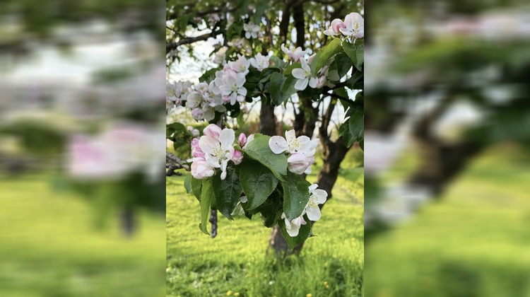 Ma-Cabane - Vente Maison CONTREXEVILLE, 140 m²