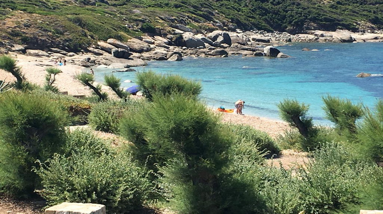 Ma-Cabane - Vente Maison Corbara, 300 m²