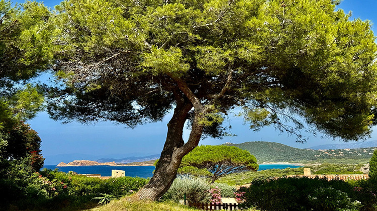 Ma-Cabane - Vente Maison CORBARA, 0 m²