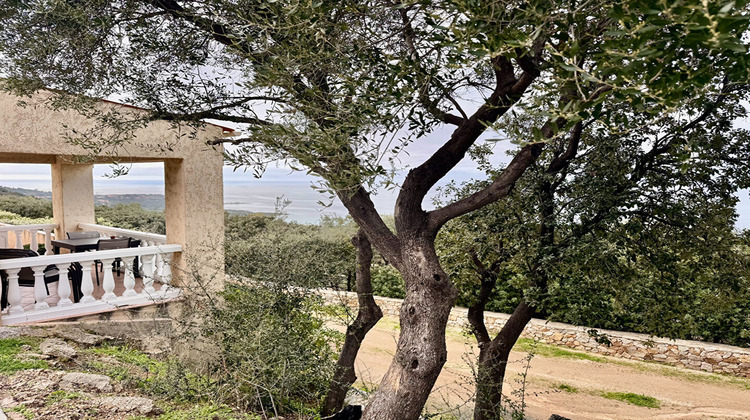 Ma-Cabane - Vente Maison CORBARA, 70 m²