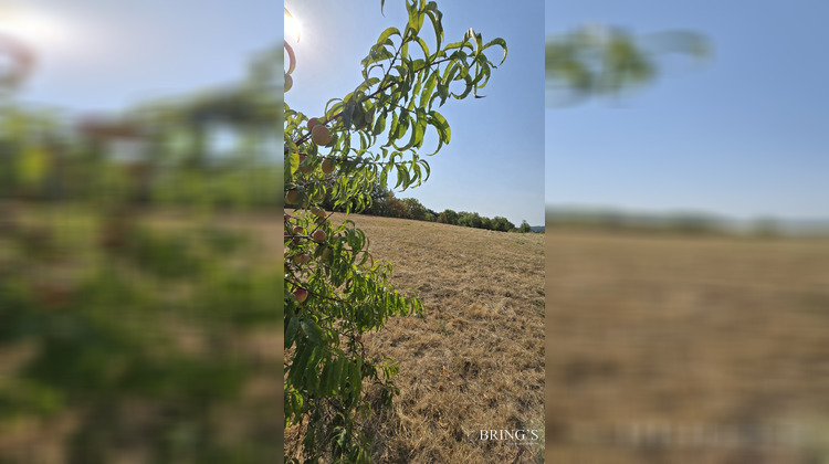 Ma-Cabane - Vente Maison Cordes-Tolosannes, 115 m²