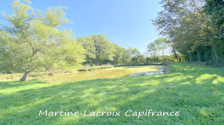 Ma-Cabane - Vente Maison CORMES, 226 m²