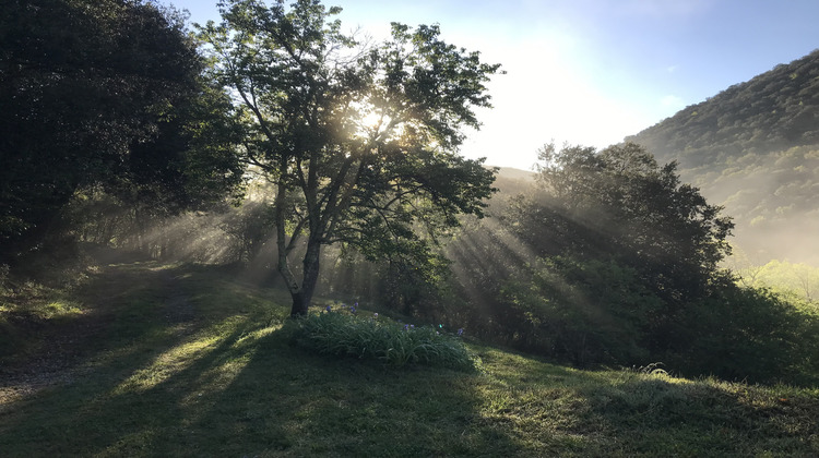 Ma-Cabane - Vente Maison Corsavy, 260 m²